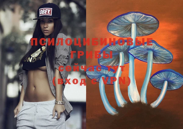 марки lsd Балабаново