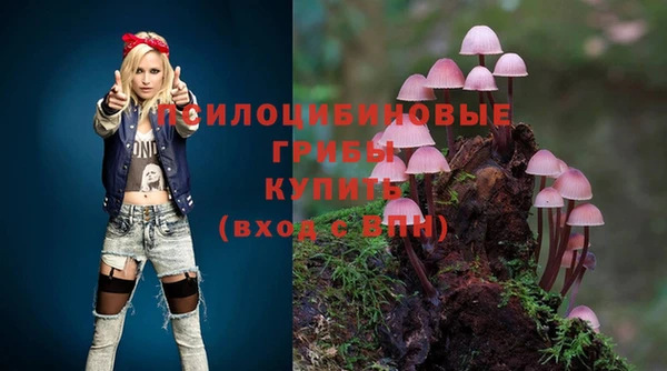 спиды Балахна