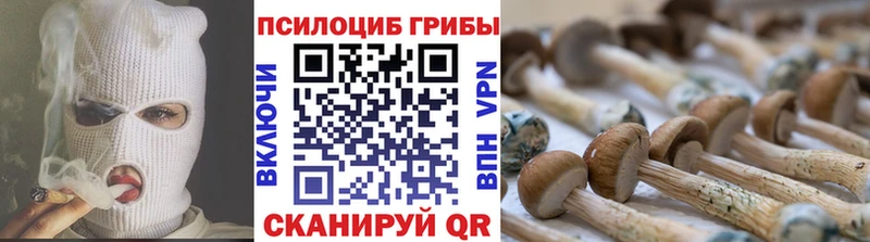 Псилоцибиновые грибы прущие грибы  Купить закладки  Полевской 